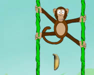Jungle spider monkey Pkemberes HTML5 jtk